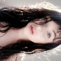 alexivy MFC